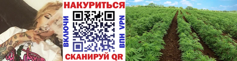 Цена Кондрово СК  Псилоцибиновые грибы  МАРИХУАНА  Codein  Гашиш 