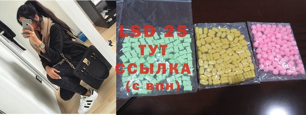шишки Инсар