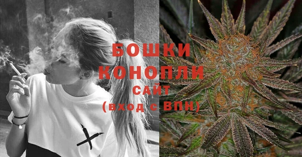 шишки Инсар