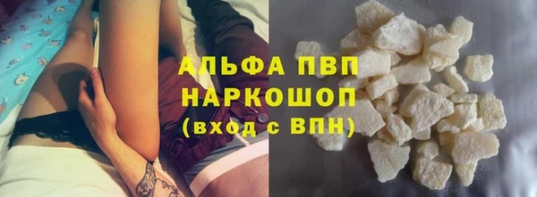 шишки Инсар