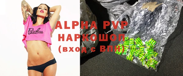 шишки Инсар