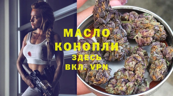 шишки Инсар