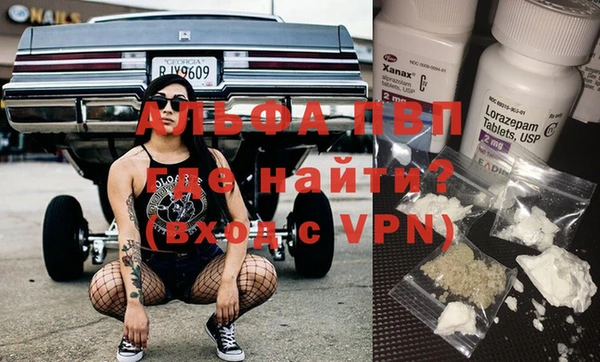 шишки Инсар
