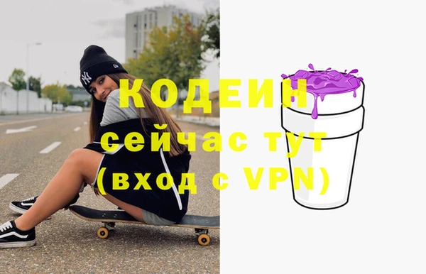 шишки Инсар