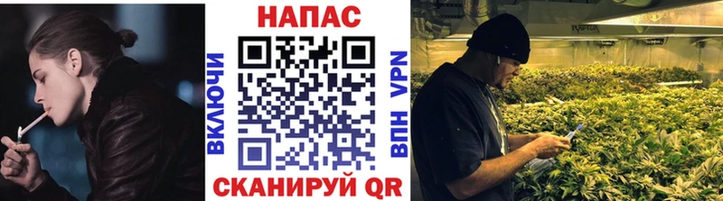 Бошки марихуана планчик  Кондрово 